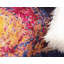Tapis abstrait jaune / mauve Eddins-1347626148