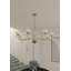 St. lawrence 8 Light Chandelier