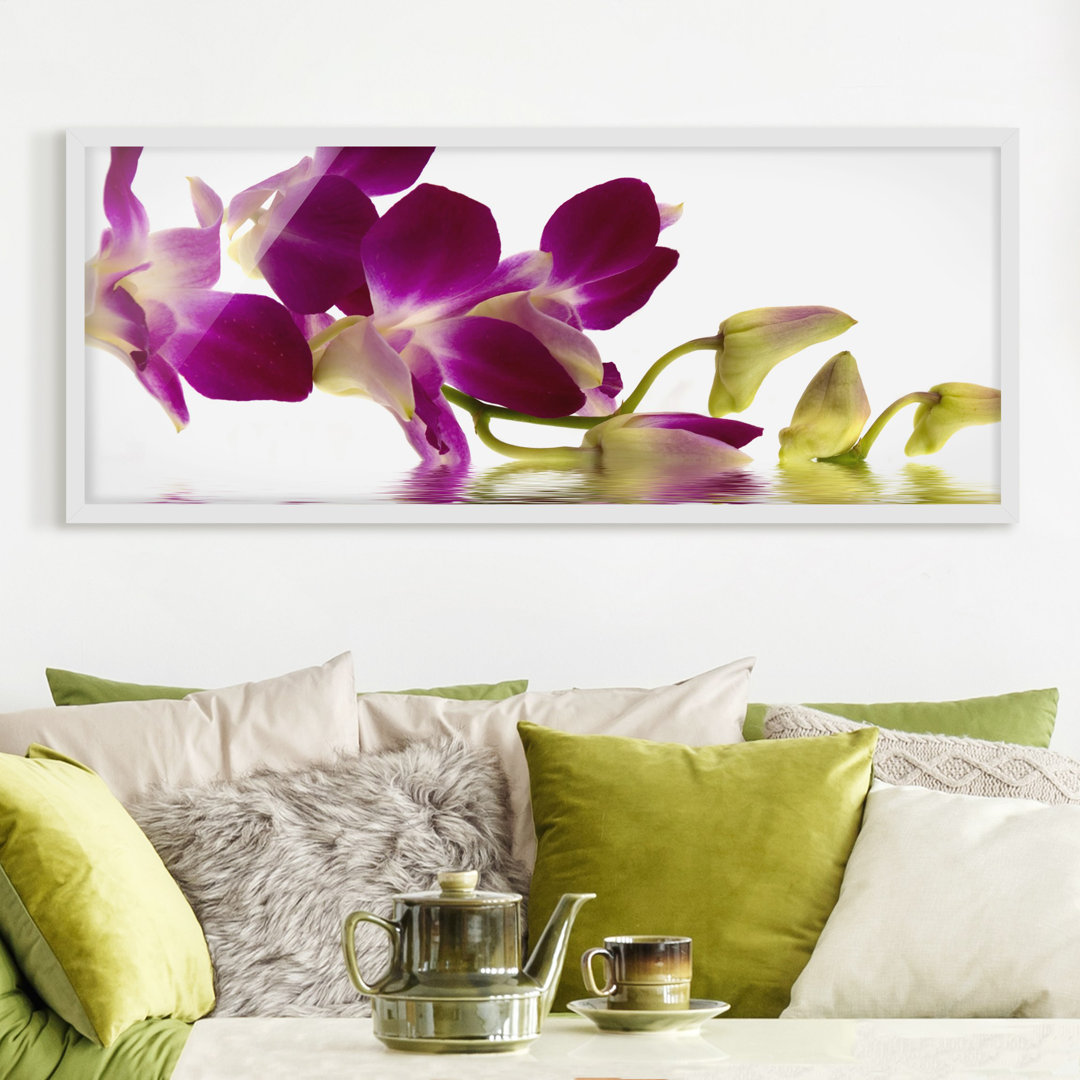 Gerahmtes Poster Pink Orchid Waters