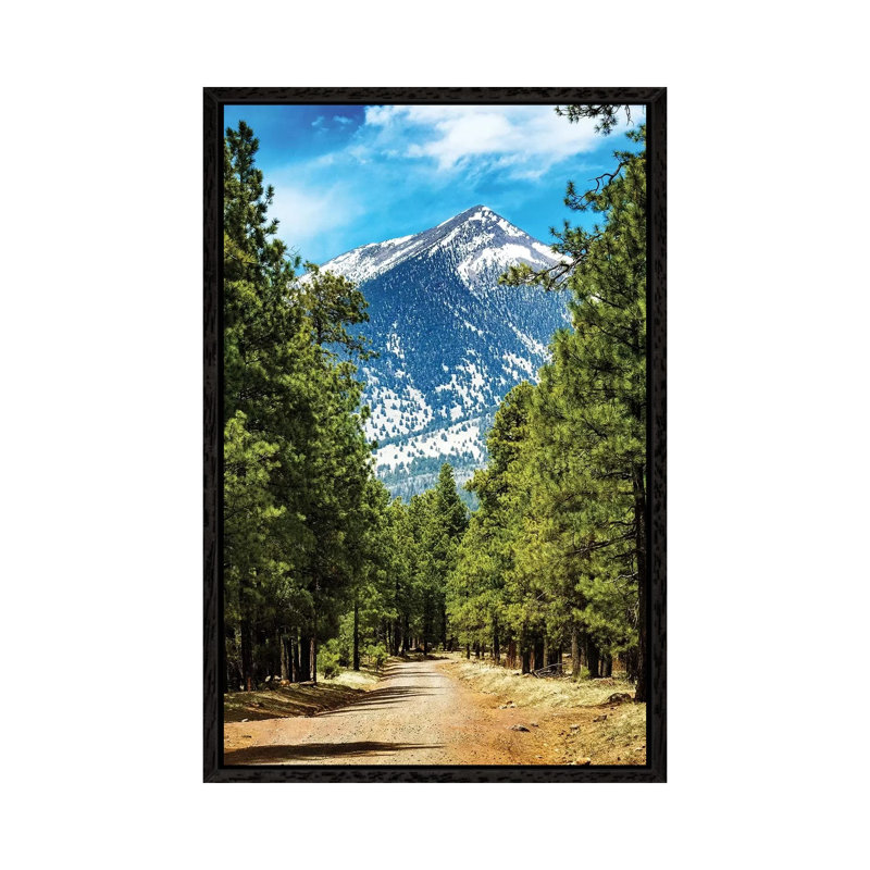 Flagstaff Arizona Road To Mountains by Susan Schmitz - Print on Canvas, Black Framed, 66.04 cm H x 45.72 cm W