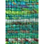 Holi Area Rug in Mustard-561526565