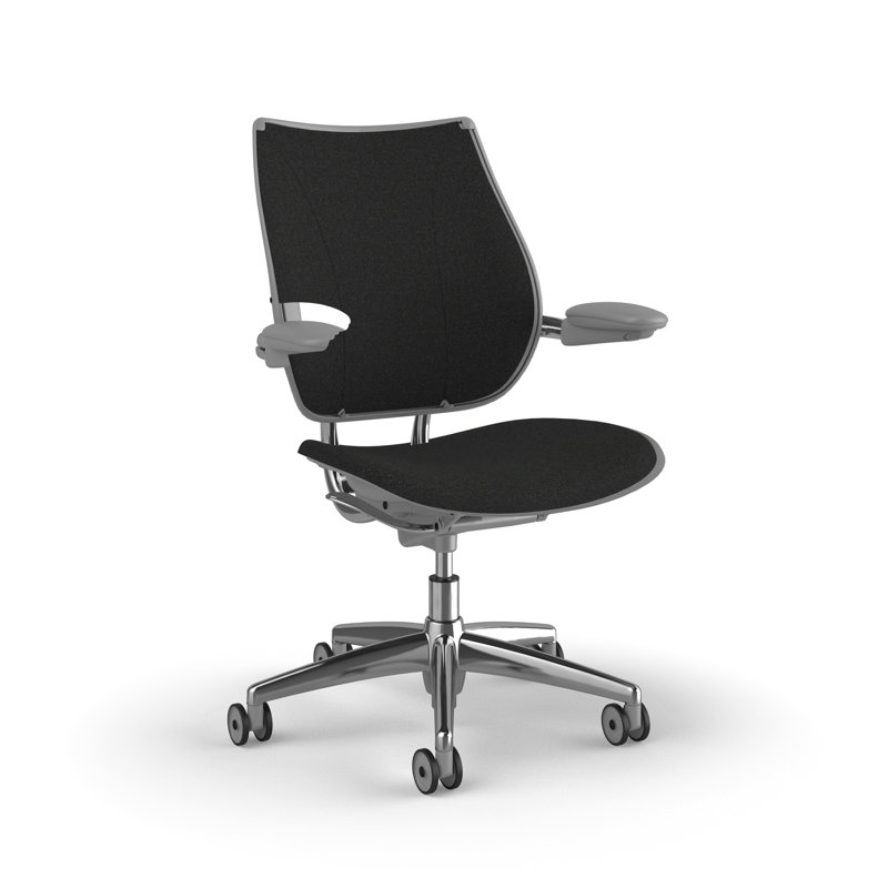 Liberty Ergonomic Task Chair With Upholstered Back, Adjustable Duron Arms, Black - 0191, Polished Aluminum w/Silver Trim