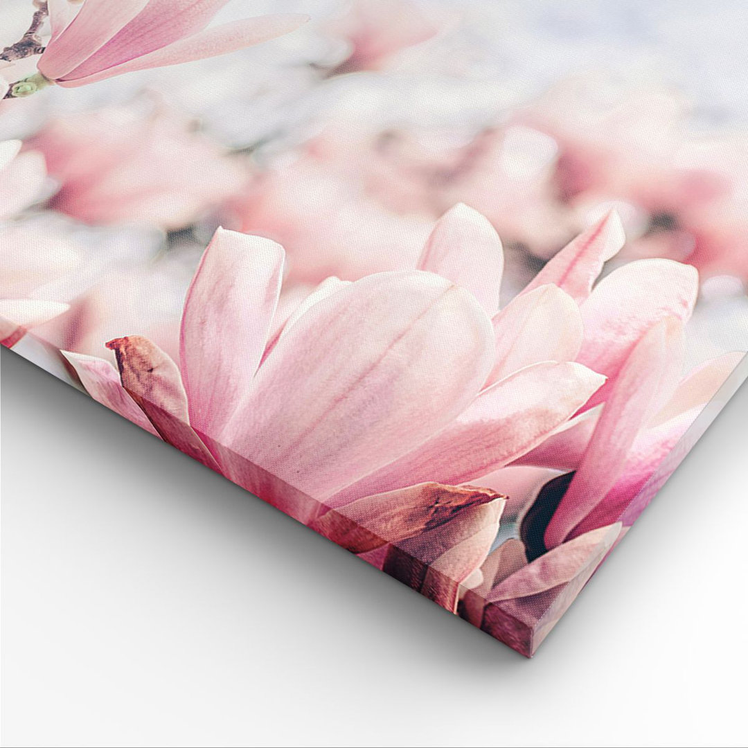 Leinwandbild Magnolia Flowers Pink