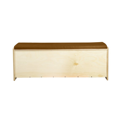 Vinyl Upholstered Storage Bench