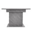 Extendable Dining Table-1795985631
