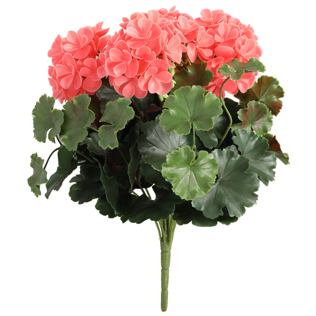 Geranium Arrangement (Set of 6) Primrue Flower 