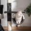 260.00cm H Cat Tree