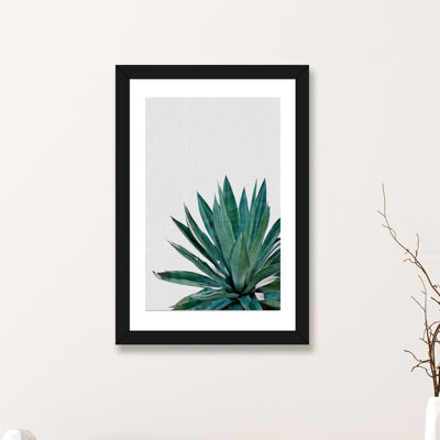 « agave cactus »-impression photographie