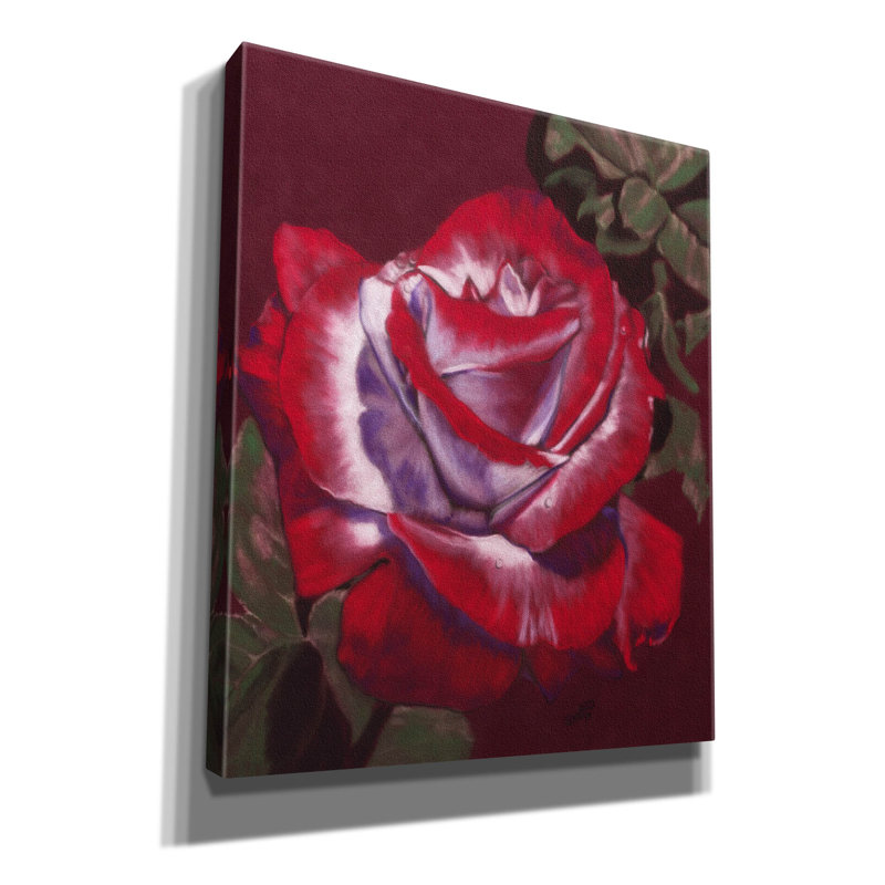 'Ruby' by Barbara Keith, Canvas Wall Art, 24" H x 20" W x 0.75" D