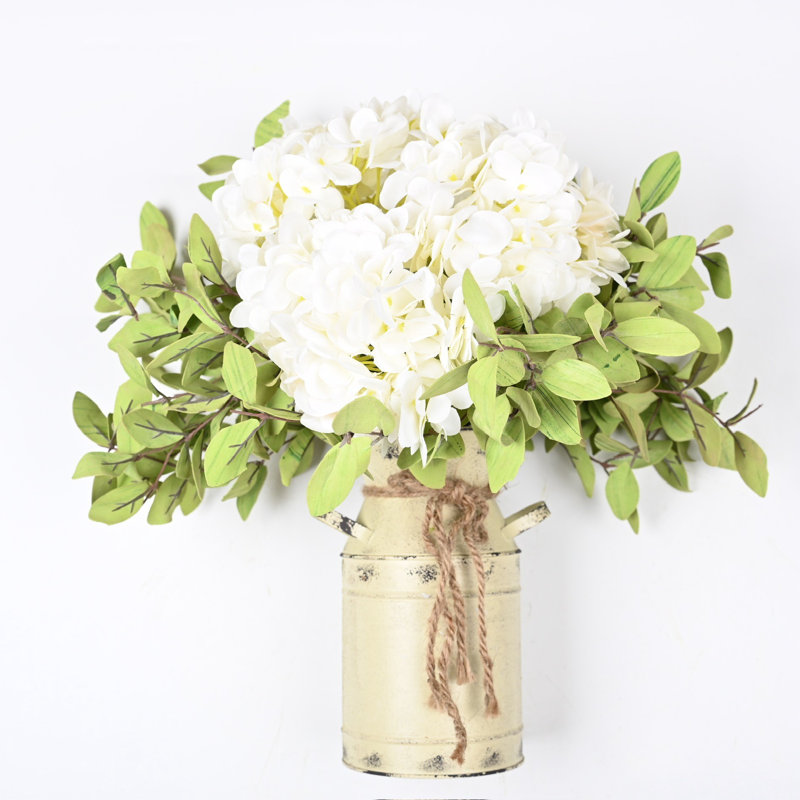 Arrangement d'hortensias en pot, Beige