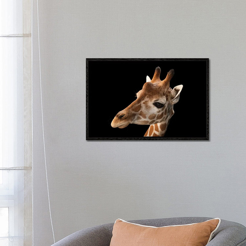 A Vulnerable Reticulated Giraffe At The Gladys Porter Zoo by Joel Sartore - Gallery-Wrapped Canvas Giclée on Canvas
