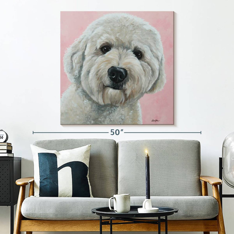 Crowle Labradoodle Hank sur fond rose, H 33 po x l 33 po