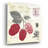 " Raspberry Notes " by Studio Mousseau-1362081709
