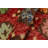 Sterick Wool Geometric Indoor Rug