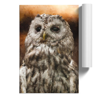 Tawny Owl Painting - Frameless Print