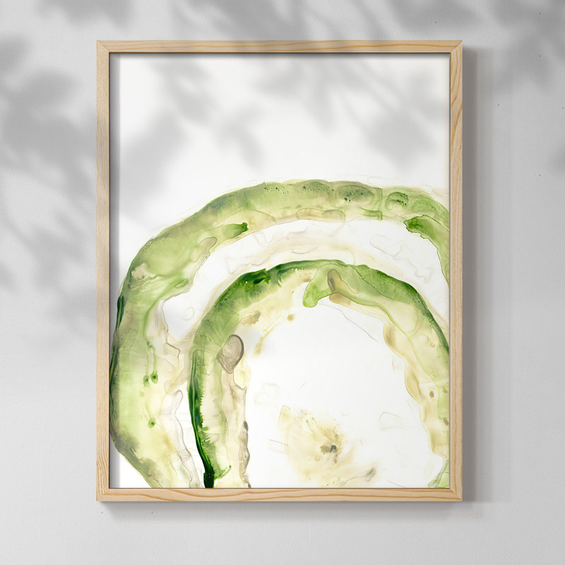 Reproduction encadrée Lichen Halo IV - bois massif, H 21 po x l 17 po