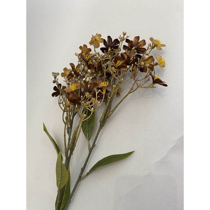 Vaporisateur de Daphné Brun, Brown, 30" H x 5" W
