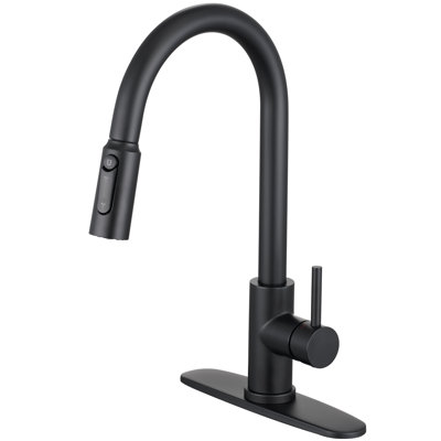 CREA Pull Out Kitchen Sink Faucet, Drinking Water Faucet -  109376BK