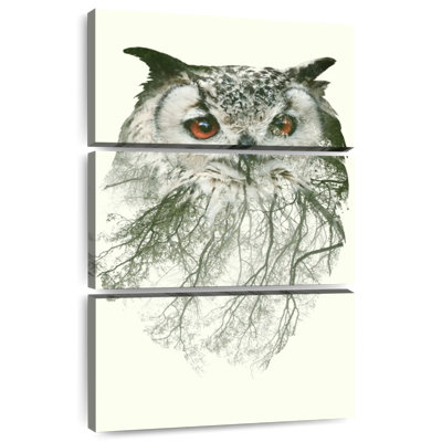 Hibou de forêt Brampt