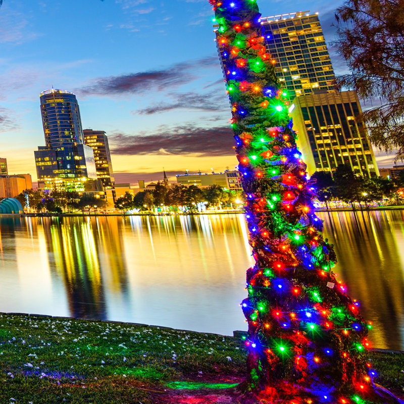 25' 50-Light Shatterproof Wide Angle LED Mini String Lights (End to End Connectable), Multicolor