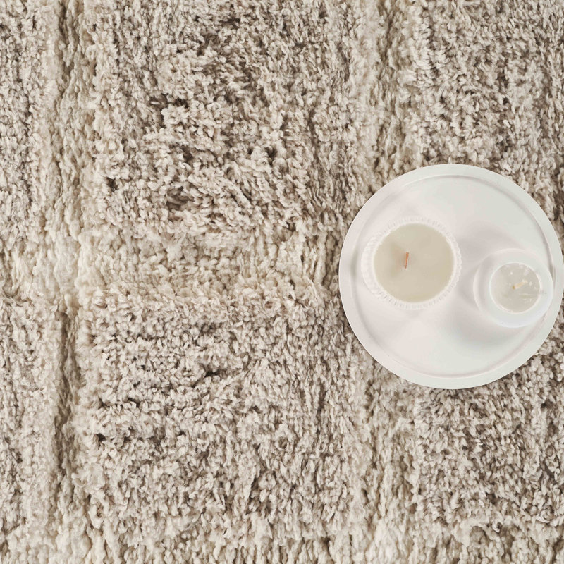 Tapis crème à poils longs Abani Rugs GLE110A, Rectangle 4pi x 6 pi