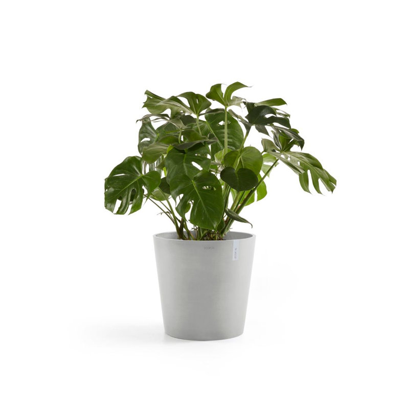 Jardinières en pot, H 15,75 po x l 15,75 po x P 13,78 po, Blanc gris