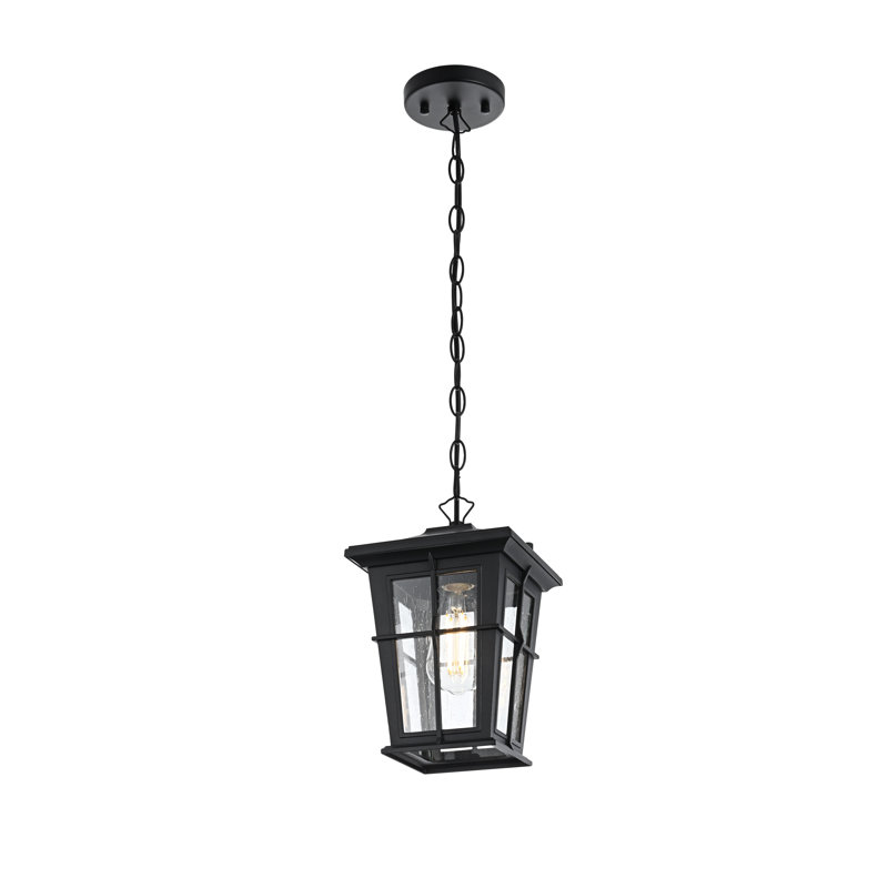 Joelle 7 inch Outdoor Pendant in Black