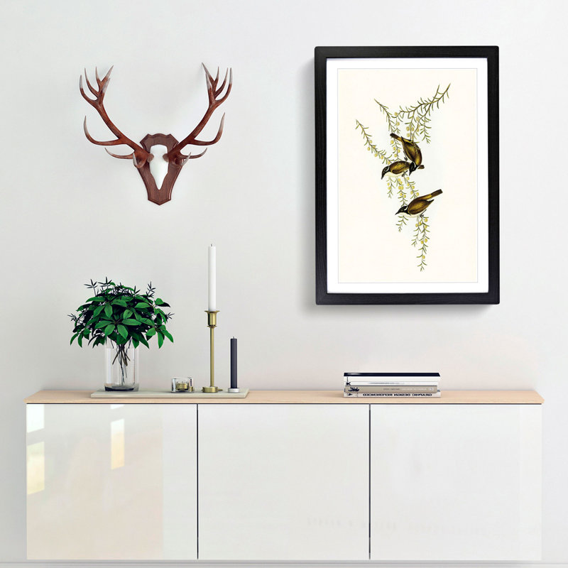 White-Throated Honeyeaters by Elizabeth Gould - Framed Print, 36cm H x 27cm W x 2cm D, Black Framed