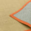 Keighley Sisal Beige/Orange Rug-38291979