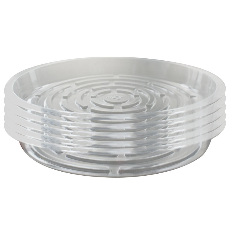 Plateaux de pots de fleurs transparents 5 pièces - Idéal pour présenter des fleurs fraîches et des plantes