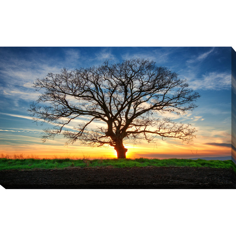 «Lonely Tree in a Field 1», reproduction de photo sur toile tendue, H 28 po x l 48 po x P 1,5 po