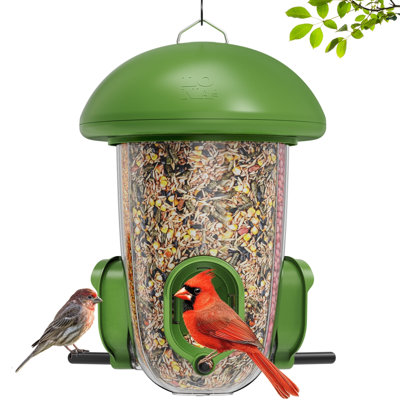 LONA Weatherproof Bird Feeder