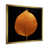 Gold Single Picture Framed