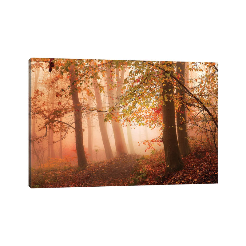 Calm Walk In Colors by Leif Londal - Wrapped Canvas Print, 66.04 cm H x 45.72 cm W x 3.175 cm D