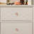Peachy Pink Shell Pattern Circle Knob Multipack