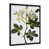 Black Picture Framed