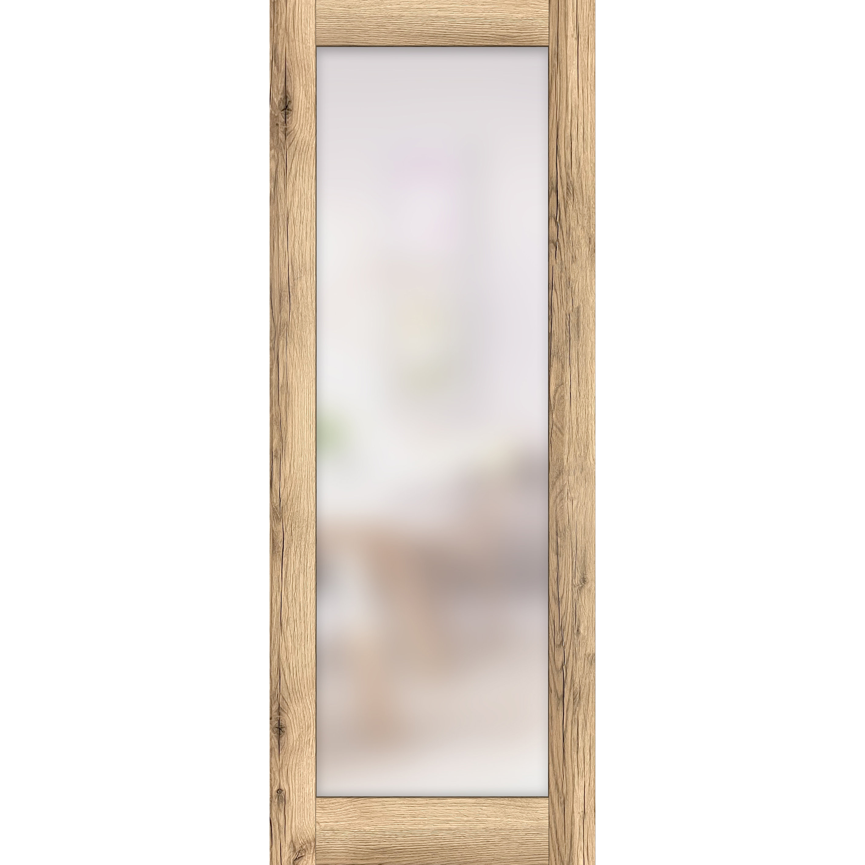 Palladio Active 10-Lite Frosted Glass Wood Composite Double Prehung French Door Belldinni Finish: Oak, Handing: Right, Size: 72 x 96