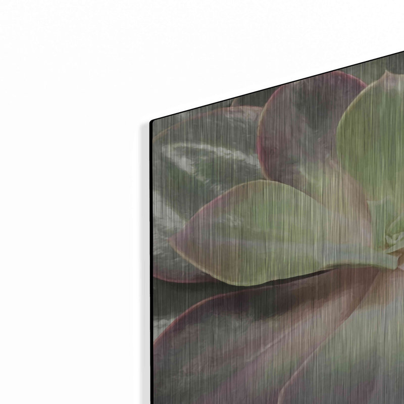 «Glowing Succulent I» par Lori Deiter, H 12 po x l 16 po