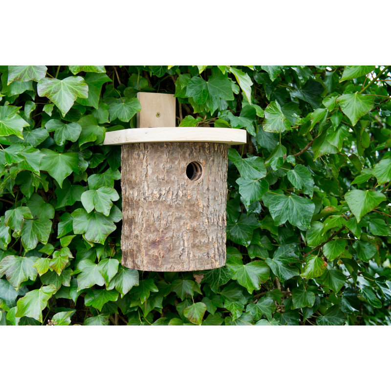 Herkimer Mounted Bird House