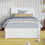 Norla Twin XL Wood Platform Bed with Footboard and Twin XL Trundle, White-113674734-113674730