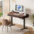 Marshun 48'' W Height Adjustable Rectangle Electric Standing Computer Desk  Home Office Desk with Drawers-907731117