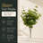20'' Faux Eucalyptus Plant