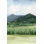 " Blue Sunday II " by Grace Popp Painting Print
