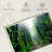 Alvord Ascension Island Bamboo Forest-107719144