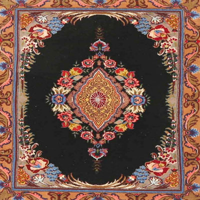 Oriental Indoor Rug