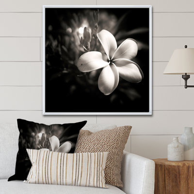 Spectrum Wild Moonlight Plumeria Beauty sur toile