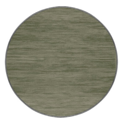 Machine Washable Solid Brown Area Rug