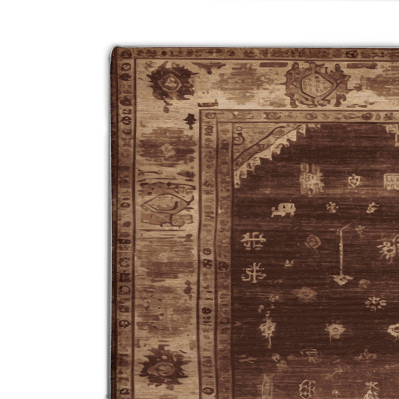 Tapis intérieur et extérieur brun Overdyed, Rectangle 4pi x 6 pi
