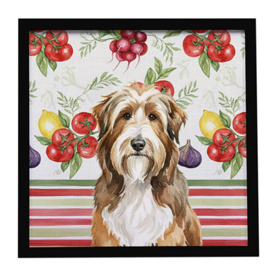 Brown Bearded Collie Vegetables Framed Metal Print