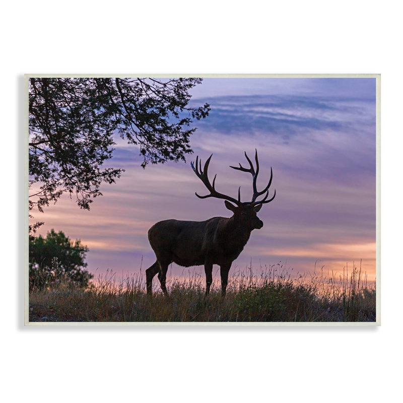 Wild Elk Sunrise Wild Forest, Bois, H 13 po x l 19 po x P 1 po
